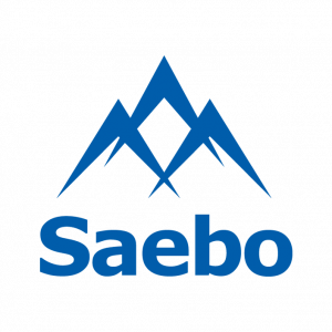 https://www.lyncare.ie/wp-content/uploads/Saebo-Logo2-300x300.png